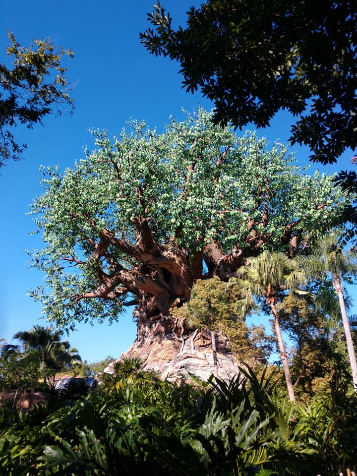 tree of life