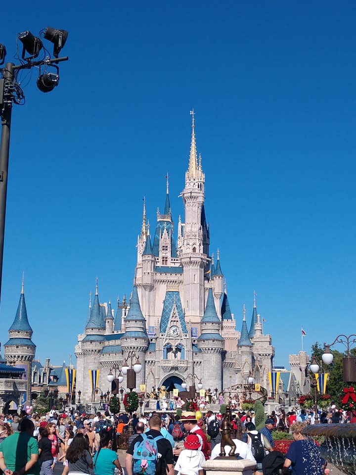 wdw castle