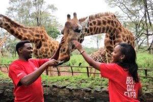 giraffe center